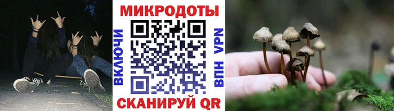 OMG онион  Туран  Псилоцибиновые грибы прущие грибы 